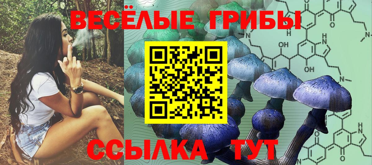 Псилоцибиновые грибы GOLDEN TEACHER  Вход с VPN  Галлюциногенные грибы прущие грибы  Керчь 